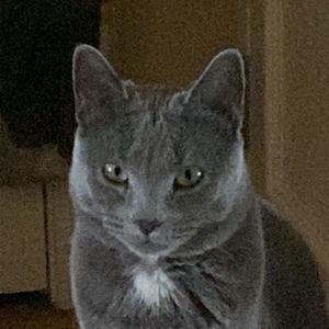 Meet your Posher, Torian